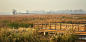 009-Weishan Wetland Park by aecom