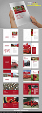 消防安全知识手册AI素材下载_企业画册|宣传画册设计图片