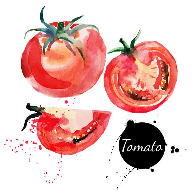 小清新素材-蔬菜系列-番茄