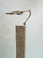 Antoine Josse: 