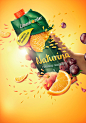 Elmenhorster Naturina : Visual created for Elemenhorster Naturina juice campaign.April 2015