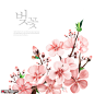 粉红桃花 植物叶子 手绘植物 植物插图插图设计PSDtid321t000006植物花卉素材下载-优图-UPPSD