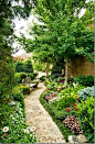 Beautiful side garden, Beautiful path in garden: