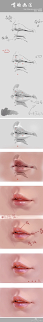 嘴的画法@-巖-采集到人体结构教程(250图)_花瓣插画/漫画
