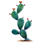 水彩仙人掌插画 png元素免扣 cactus14