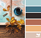 Design Seeds : Design Seeds color palettes ... posted daily for all who love color.