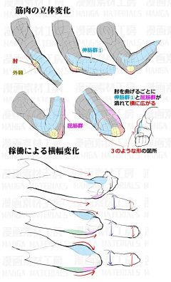 Durrrrrrrr采集到人体