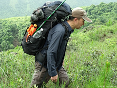 Cubo采集到重返十万大山母猪河（