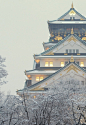 Osaka Castle, Japan。日本大阪城。大阪城和名古屋城、熊本城并列日本历史上的三名城，别名“金城”或“锦城”，是日本最著名的城堡之一。大阪城于16世纪建成，整座城堡建在很高的石头砌成的基座上，以便抵御入侵者。
