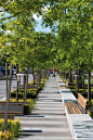 Lonsdale Street, Dandenong, has been transformed from a busy urban thoroughfare to a pedestrian boulevard by Taylor Cullity Lethlean.