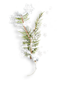 银白唯美冬季雪花花卉纹理背景图案免抠PNG元素 手账照片 (21)
