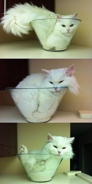 cats :): 网盘资源搜索soupa...