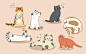 卡通猫咪插画手绘可爱小猫元素元气猫咪动物萌宠宠物PNG素材