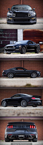 2015 Ford Mustang RTR: 