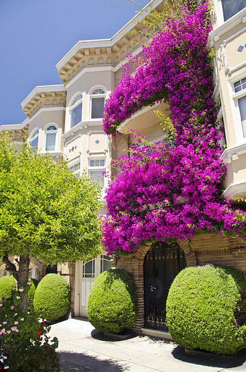  Flower balcony, San...