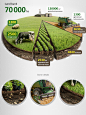 农业信息图表+教程