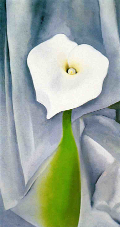 長鯉采集到○ Georgia O'Keeffe ○