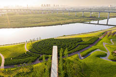 齐尚景观-庭院/文旅采集到迷宫/农场植物迷宫/农场农庄规划设计/乡村振兴/休闲观光农业