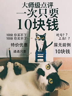 猫君的猫采集到猫君的猫的原创画板