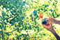 把这只千纸鹤送到你面前，让你记住幸福的颜色。 #采集大赛#