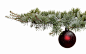 圣诞节,红色,树,季节,冬天_471104637_Fir Branch With Ornament_创意图片_Getty Images China