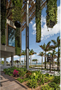 015-Perez Art Museum Miami: Resiliency by Design by  ArquitectonicaGEO