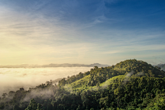 yanranqing采集到风景