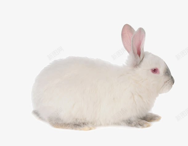 e826d27866e95d955923026515532984c942b7d93761-oHo1Ve