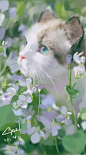 嗅着花草弥漫的芳香，湛蓝色的星空映在那洁白可爱的布偶眼里~
板绘厚涂 宠物布偶猫
