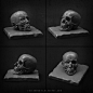 Skull, facial muscles by ~k0c0s on deviantART