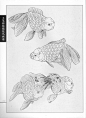 《工笔画线描动物画谱》之金鱼篇