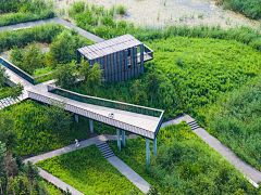 爱迪斯诺采集到绿色-绿植背景