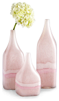 Shop Vase Products on Houzz