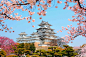 姬路城是日本最古老的城堡之一，也是游客中最受欢迎的城堡之一。它在1993年被列入联合国教科文组织世界遗产名录。总共有83座建筑物，其中几乎全部都是用木头建造的。在城堡的脚下是同名的城市。япония.jpg (4100×2733)