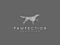 Pawfection_facet2