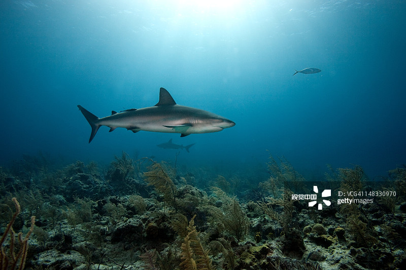 e872b07b20a9806f291efe6a056aef00fdfd420420404-6gKtIH