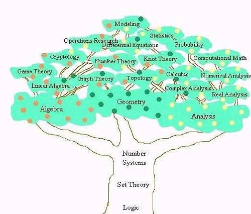 数学体系