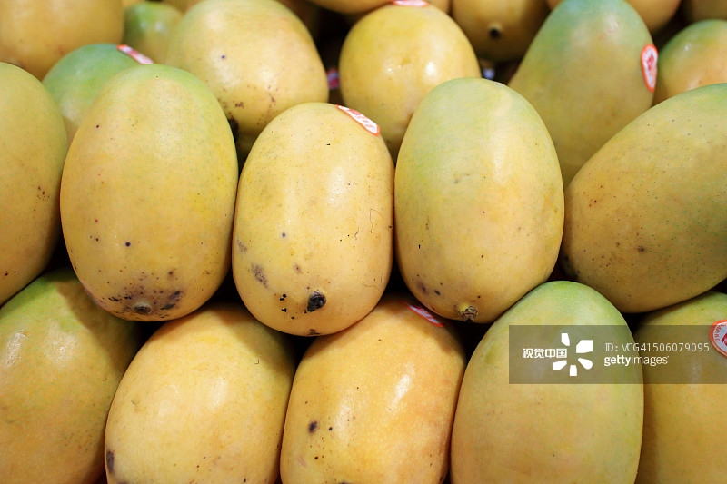 e88b89519ef1c1e2cb138256be5cef31b0f5687b2104a-pqLffP