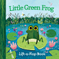 Little Green Frog : A Picture book about Little Green Frog