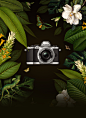 Olympus Travel : The challenge was to make a print ad for one of Olympus' travel cameras.This model can withstand dust, humidity, is quick, compact, and more robust than some of the other cameras in their range. A damp jungle theme seemed perfect to illus