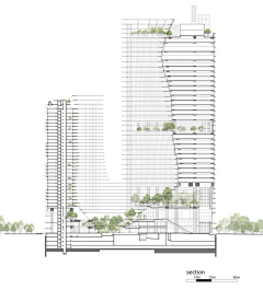 发条陳采集到【A景观---专项\海绵城市.雨水花园】