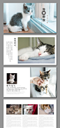 【猫】简洁小清新可爱小猫咪相册PPT模板