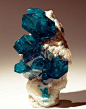 Dioptase by usageology via Flickr | Locality: Tantara Mine, Kakounde, Likasi, Shaba Congo D.R. Size: 1.2 inches tall.
