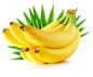 png素材 png透明图片香蕉素材 水果素材免扣素材@两秒视觉