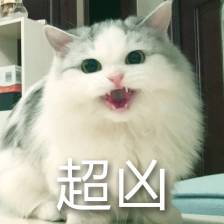 e8e3b1bff885359a310b3b7f86925f7647302d101c05-1NUr8d