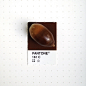 Pantone 161 color match. It&#;8217s a humble acorn. Last fall, my then 2 yr. old daughter loved to collect acorns every time we went for a walk. They all ended up in the trash. But this one got away. I found it laying on the floor in the corner of the