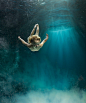 英国水下摄影师：Zena Holloway-现代摄影网