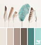 feathered palette 06.02.14
