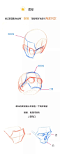 【春哥课堂】头部结构到底怎么画？ : 头部分为三部分，球体、面部、下颚。