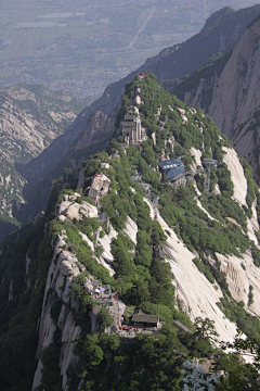 两条鱼&采集到场景素材